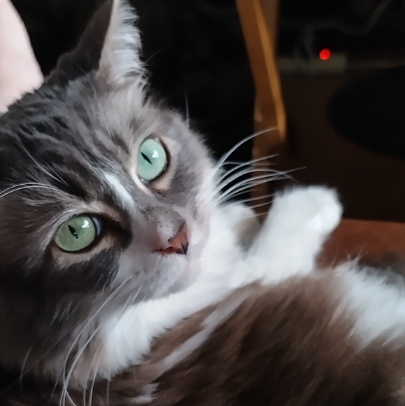 Meet your Poshers, Michael ๐ค And Dawn๐ - Picture 15 of 16